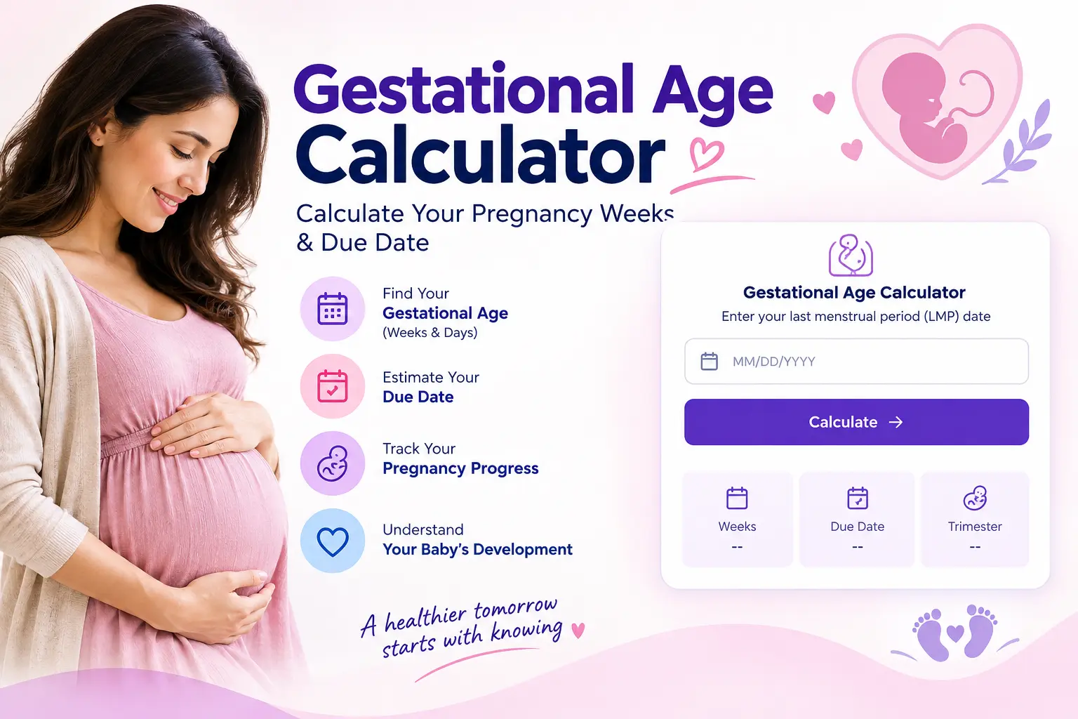 gestational age calculator